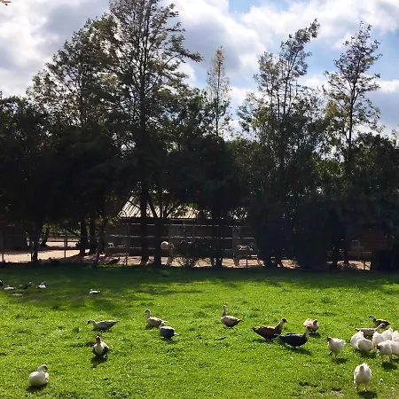Villa The Pony Experience; Glamping With Private Petting Zoo